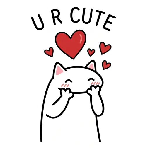 florak stickers, cute, funny, stickers, WhatsApp stickers, sticker pack, cat (16)